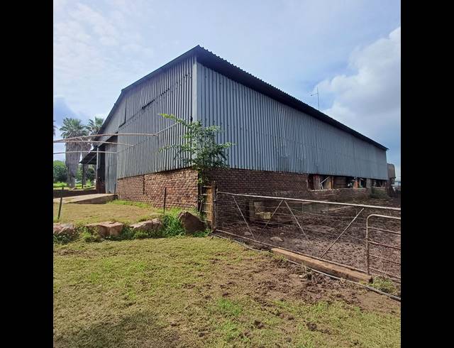 34HA FARM FOR SALE IN SHERMAN PARK